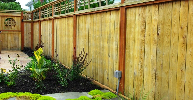 protection jardin