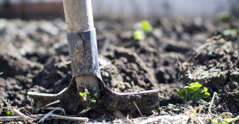 Pelle qui bêche dans un jardin potager