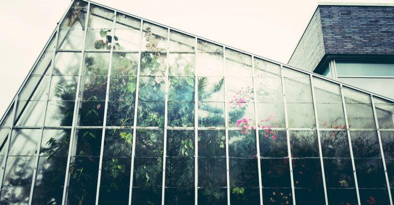 Une véranda pour plantes