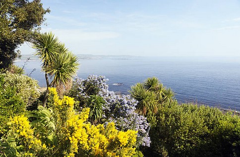 jardin-mer-maison