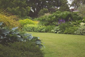 garden-staging-1