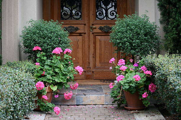 Entrée avec fleurs roses et buissons taillés, porte en bois vitrée