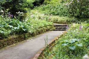 Allée d'un petit jardin à l'abandon