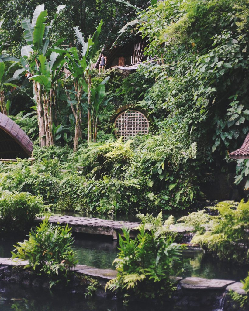 Une piscine naturelle tropicale