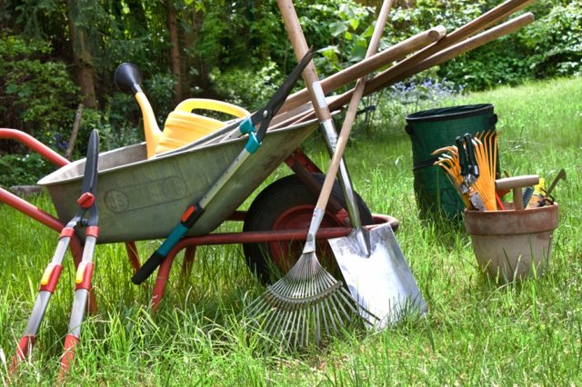 3 Outils pour bien débuter en Jardinage