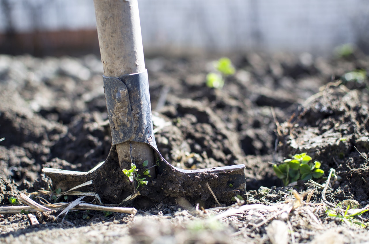 Pelle qui bêche dans un jardin potager